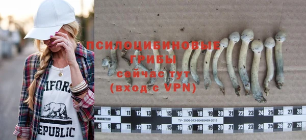 прущая мука Бородино